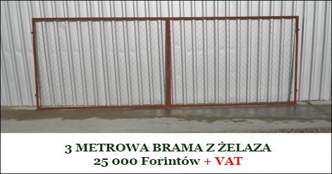 3_metrowa_brama_z_elaza.jpg